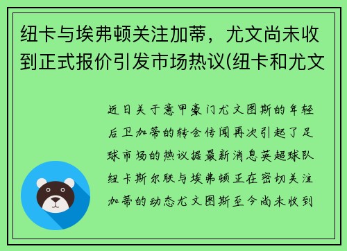 纽卡与埃弗顿关注加蒂，尤文尚未收到正式报价引发市场热议(纽卡和尤文)